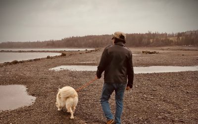 Howard Baer, Music as a Lifetime Career